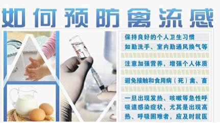 牛皮癣患者如何预防H7N9禽流感 牛皮癣患者如何预防H7N9禽流感
